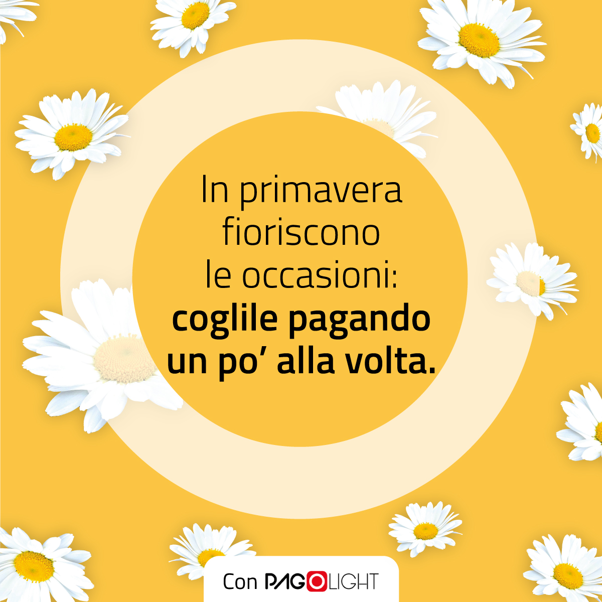 Pagolight